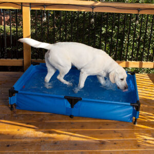 K&H Dog Pool & Pet Bath