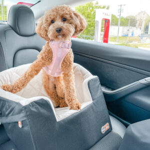K&H Bucket Booster® Pet Seat