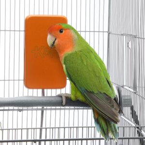 K&H Snuggle Up Bird Warmer