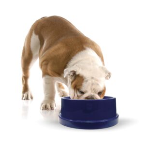 K&H Coolin' Bowl - Cooling Water Bowl for Pets